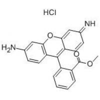 罗丹明123 Rhodamine 123  62669-70-9