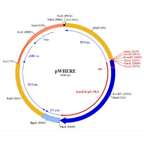 pWHERE