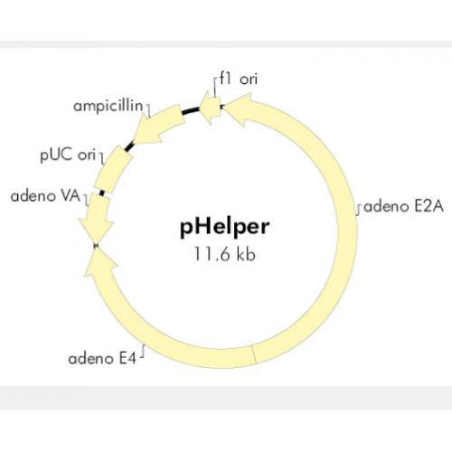 pHelper