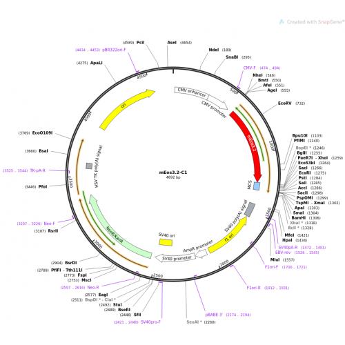 mEOS3.2-C1