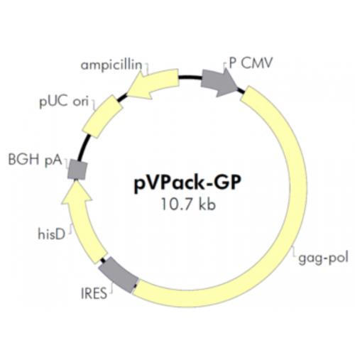 pVPack-GP