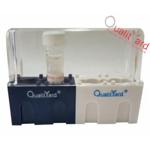 脂质体型通用转染试剂（DNA和RNA）  Lipopro EasyTrans Reagent