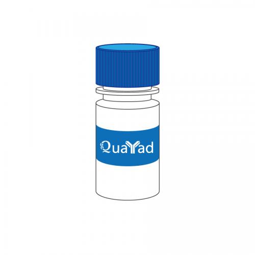 1% 二甲苯青FF溶液1% Xylene Cyanol FF staining solution