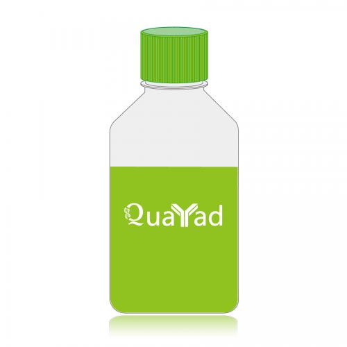 0.5% 詹纳斯绿B染色液0.5% Janus green B staining solution