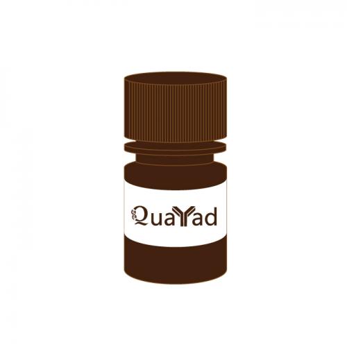 硫酸喹啉/奎宁硫酸酯 Quinine sulfate   6119-70-6