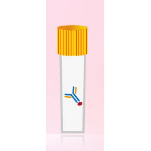 Donkey anti-Mouse IgG H+L- HRP
