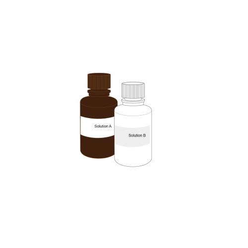 AB-PAS染色液AB-PAS stain solution