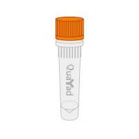 蛋白A/G琼脂糖凝胶 Protein A/G Agarose PAG-agarose