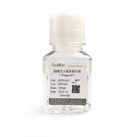 硫酸庆大霉素储存液（10mg/ml）	Gentamycin Solution