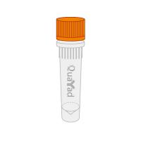 衣霉素储存液（1mg/ml）Tunicamycin Solution