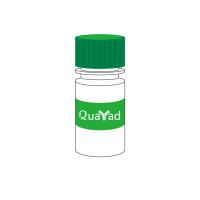 吡哆醛-5-磷酸，一水 Pyridoxal- 5'-phosphate, monohydrate   41468-25-1