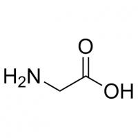 L-甘氨酸 L-Glycine 56-40-6