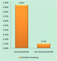 AQP2 (phospho Ser256) Polyclonal Antibody