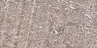 Cdc6 Polyclonal Antibody