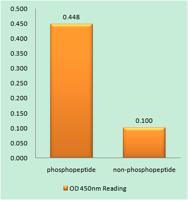 ACCα (phospho Ser80) Polyclonal Antibody