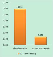 PLC β3 (phospho Ser1105) Polyclonal Antibody