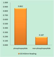 nNOS (phospho Ser852) Polyclonal Antibody