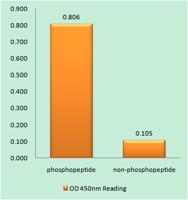 DAPK2 (phospho Ser318) Polyclonal Antibody