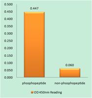 EGFR (phospho Ser1026) Polyclonal Antibody