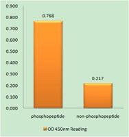 Mcl-1 (phospho Ser159) Polyclonal Antibody