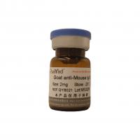 Goat anti-Mouse IgG（Pure  IgG）