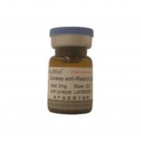 Donkey anti-Rabbit IgG（Pure  IgG）