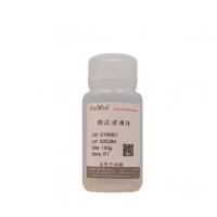 酸洗玻璃珠（100μm）