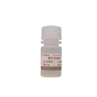 酸洗玻璃珠（200μm-400μm ）