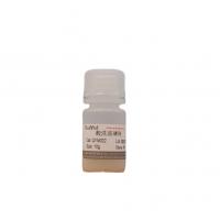 酸洗玻璃珠（200μm-400μm ）