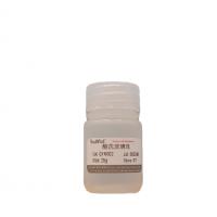 酸洗玻璃珠（200μm-400μm ）