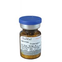 蛋白酶K Proteinase K 冻干粉