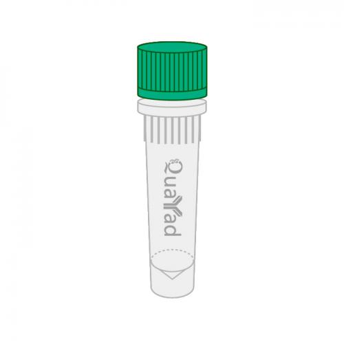 2×QY Taq PCR Mix