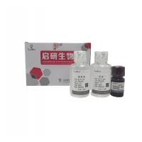 多酚氧化酶（polyphenoloxidase，PPO）试剂盒--分光光度法