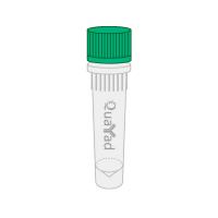1.1×QY Fidelity PCR Mix