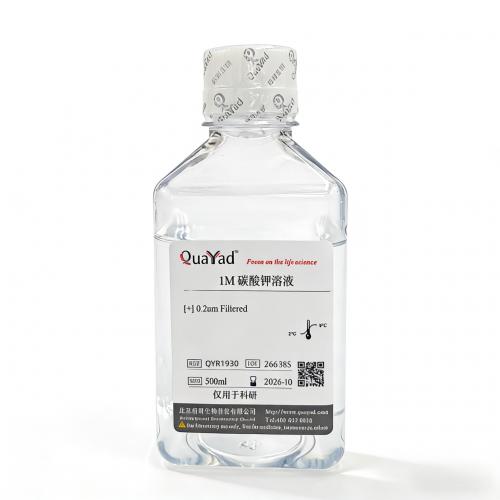 1M 碳酸钾溶液	1M Potassium carbonate solution