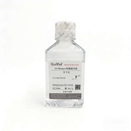 10XWestern 转膜缓冲液（半干法）	10XWestern 转膜缓冲液（半干法）