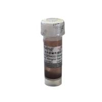 硅羟基磁性微球 DNA纯化磁珠（20nm粒径） MagBeads
