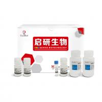 苏木素-伊红（H-E）染色液（水溶）