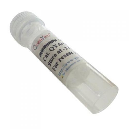 Rabbit anti-Donkey IgG（Pure IgG）