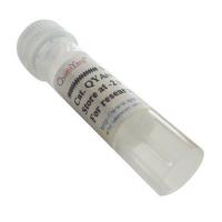 Rabbit anti-Duck IgG （Pure IgG）