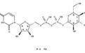 UDPG/尿嘧啶核苷-5'-二磷酸葡萄糖   Uridine 5'-diphosphoglucose disodium salt   28053-08-9