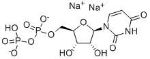 UDP二钠 (尿苷5-二磷酸二钠盐)   Uridine 5'-(trihydrogen diphosphate) sodium salt   21931-53-3