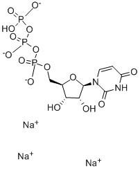 UTP四钠 (5-三磷酸尿苷四钠)    Uridine 5'-triphosphate trisodium salt hydrate    19817-92-6