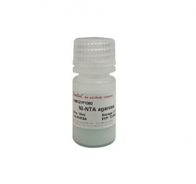 Ni-NTA agarose (His-标签蛋白纯化填料 His- label protein purification filler )