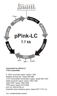 pPink LC