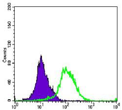 Flow cytometric analysis of K562 cells using ARK-1 Monoclonal Antibody (green) and negative control (purple). 
